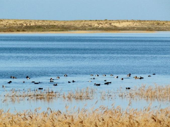 La Gallega Valdoviño Exteriör bild